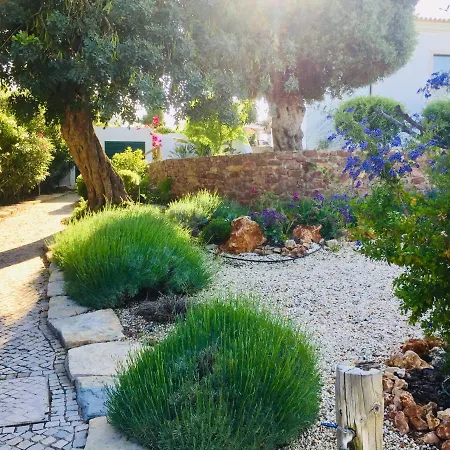 La Senhora Oliveiras Apartmán *