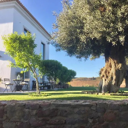La Senhora Oliveiras Tavira